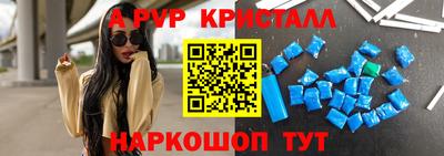 spice Кунгур