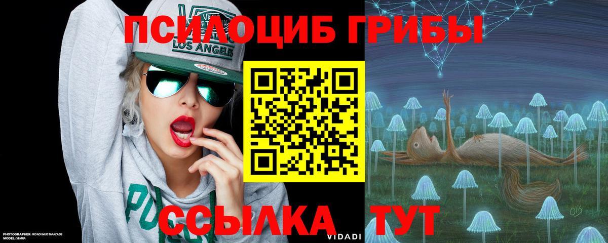 Екатеринбург  Галлюциногенные грибы прущие грибы  как найти наркотики  Вход с VPN 